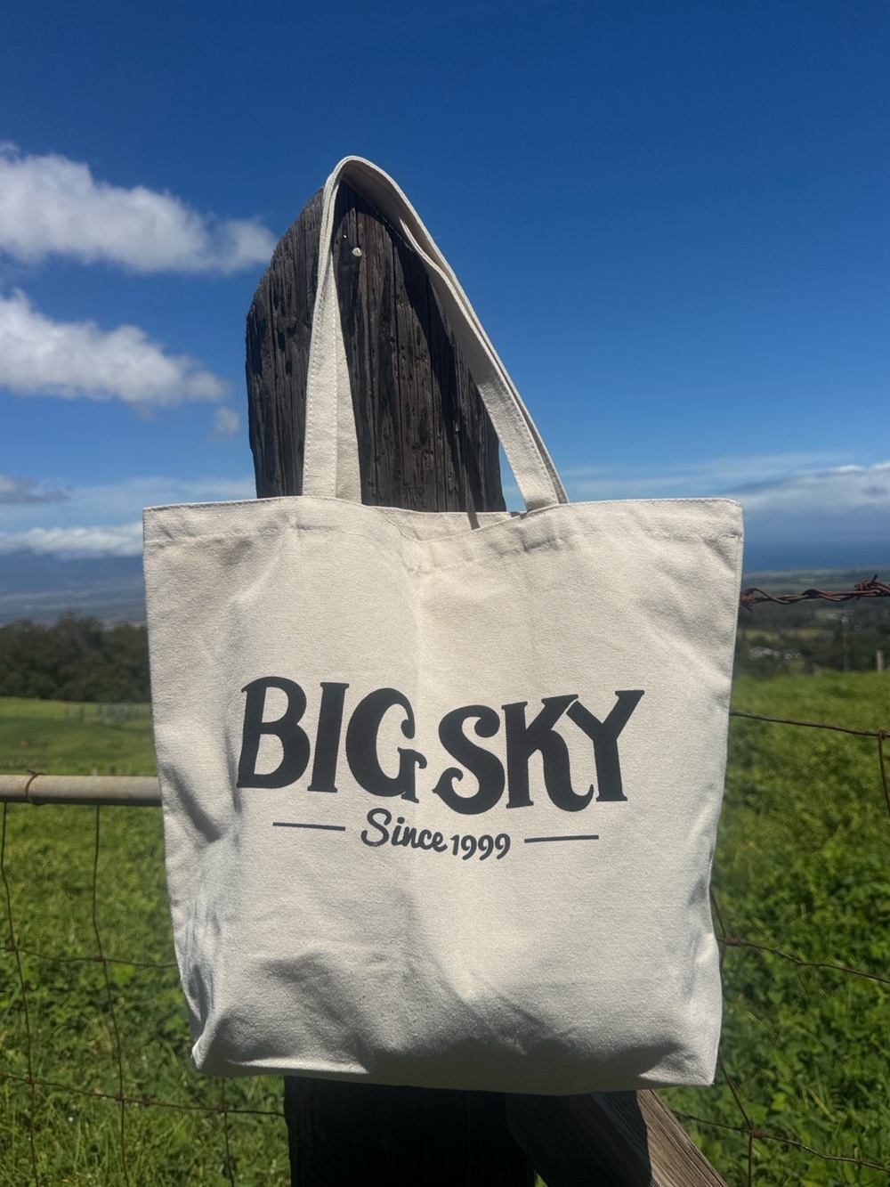 Big Sky Large Shopping Canvas Tote bag